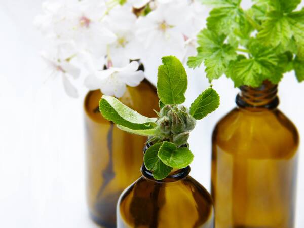Bio-Pflegebehandlung